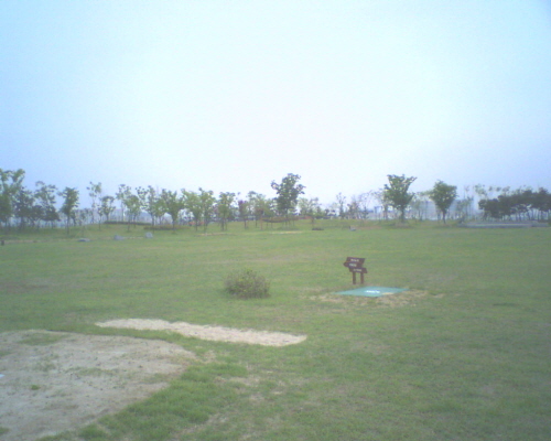 2305acc09ed7b99016ff439ea28cbfe0_1782720149_5115.jpg