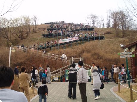 50e05044de5a8563f8f306d1f3922763_1782720163_4785.jpg
