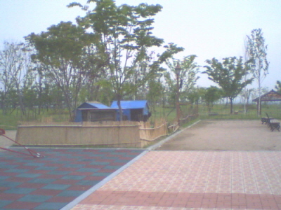 845ceabc36cc5a2dea3e24324f8be3a1_1782720149_9460.jpg