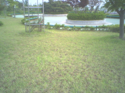 a79f0ecbbb41e37aea6990a8a7d2afa3_1782720149_1257.jpg