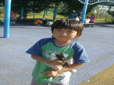 bd0ce5949b13d86318ea7b4e4c6c64ac_1782720115_9289.jpg