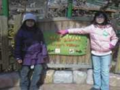 c3c0037f077074090a1963dd2cb3fcb0_1782738711_3614.jpg
