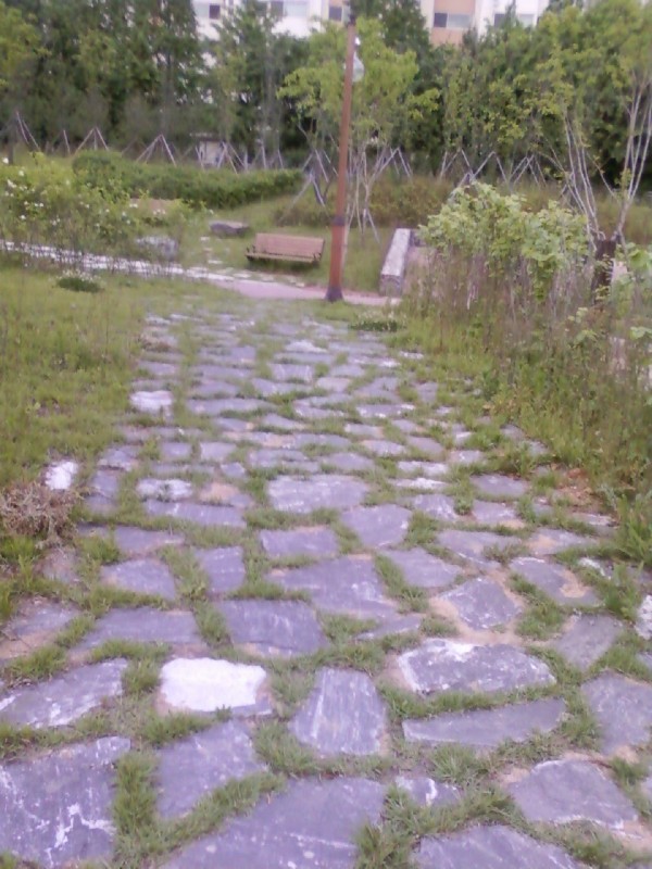 ac49379d29247d1111dbbada67415be2_1782738740_9763.jpg