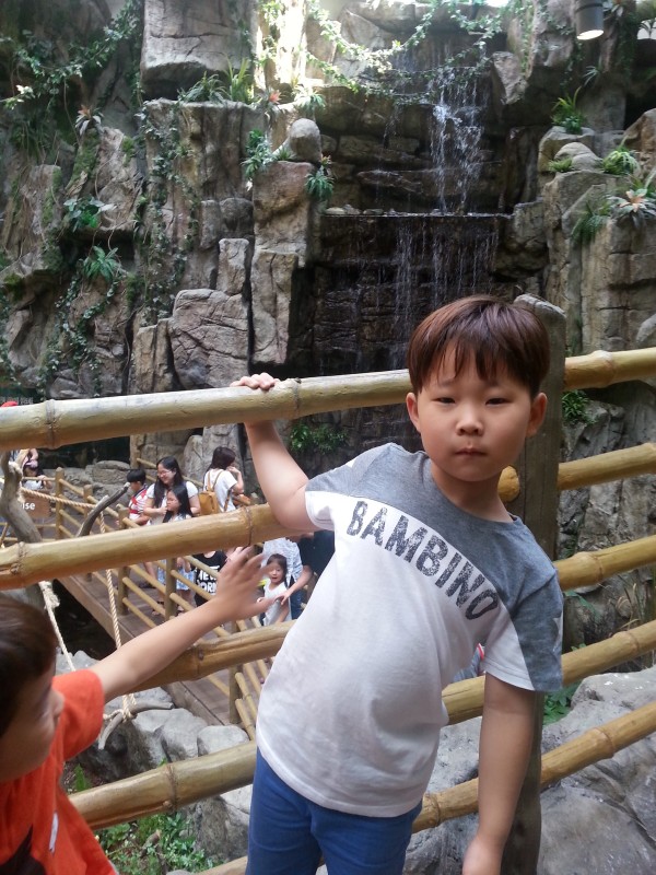 155904be83c8ea62c64caa07a076e04d_1782739665_3353.jpg