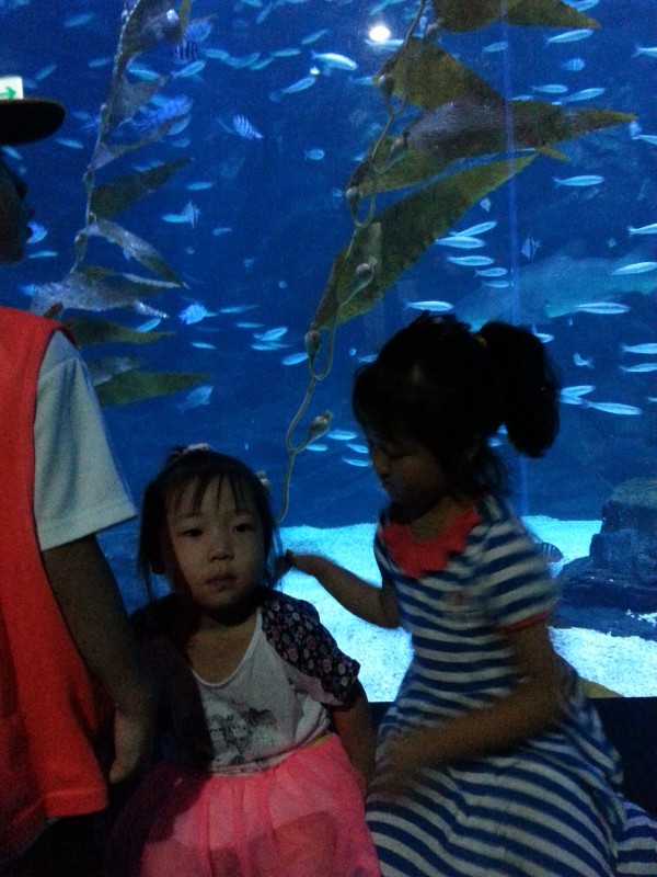 c10627fe7b8719f380a188a690739c70_1782739665_2753.jpg