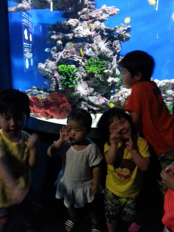 fafd99c5cf105806cdf9853aca775458_1782739665_9620.jpg