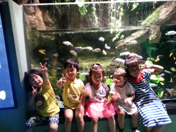 ff1457ca042a969b563a1c65af4ae080_1782739665_7811.jpg